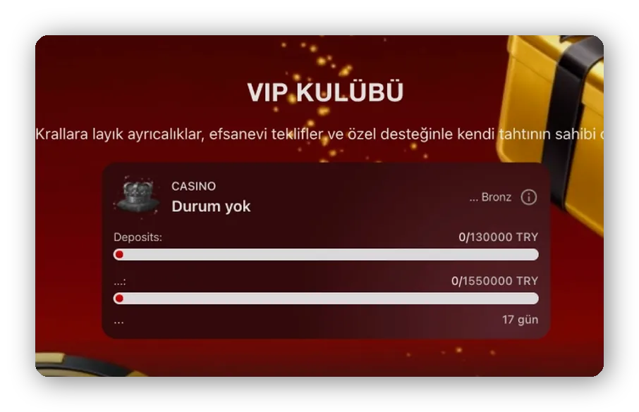 Seviye kartı ve yatırım çubuğu Önizleme: seviye ilerleme kartı ve yatırım çubuğu bulunan VIP Kulübü sayfası