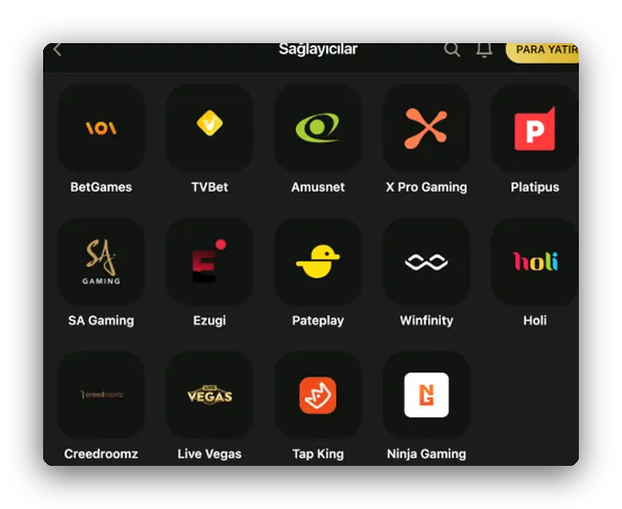 Sağlayıcı logoları: Ezugi, Amusnet Önizleme: BetGames, Amusnet, Ezugi ve Tap King kutularının dizildiği sağlayıcı sayfası